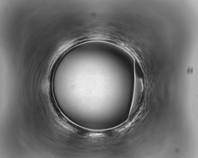 X0000099430055200805161120