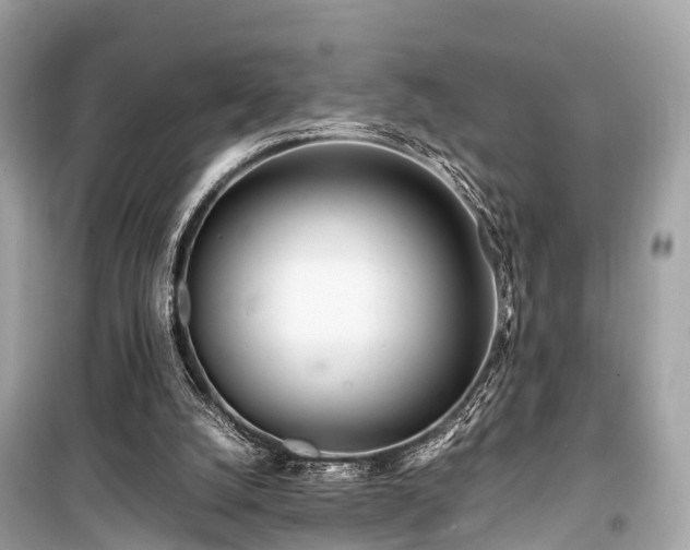 X0000099430056200805161120