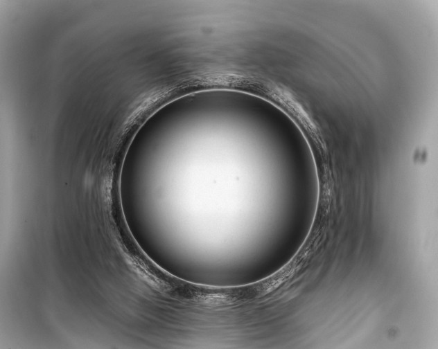 X0000099430058200805161120