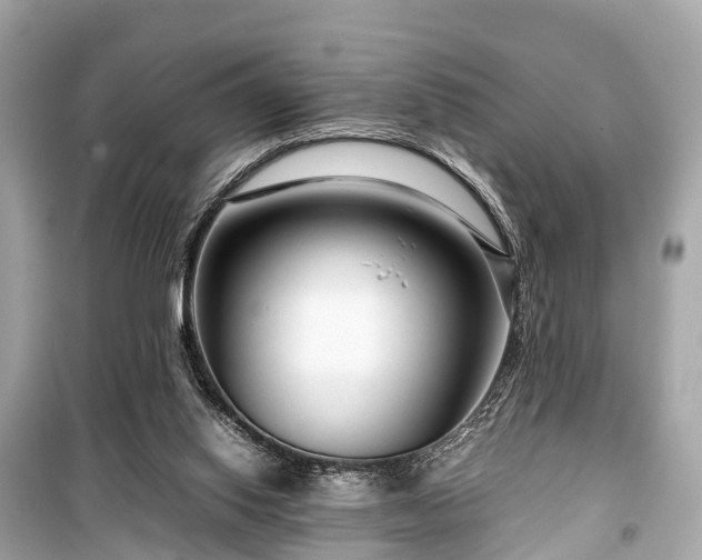 X0000099430062200805161120