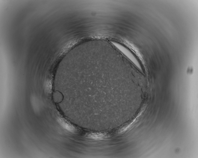 X0000099430065200805161120