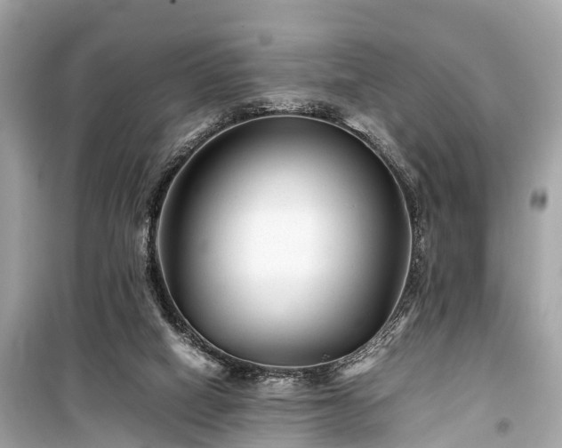 X0000099430066200805161120