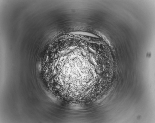X0000099430069200805161120