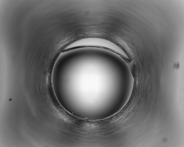 X0000099430071200805161120