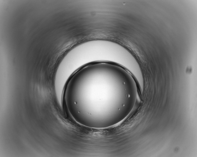 X0000099430072200805161120