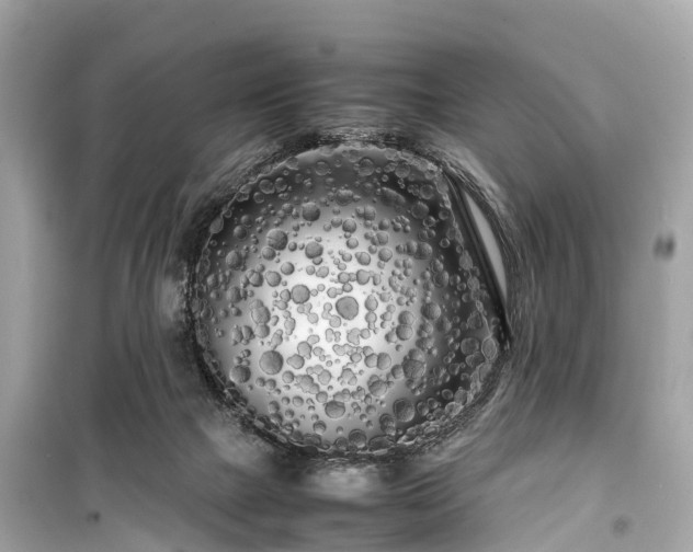 X0000099430073200805161120