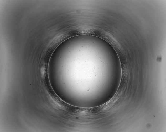 X0000099430074200805161120