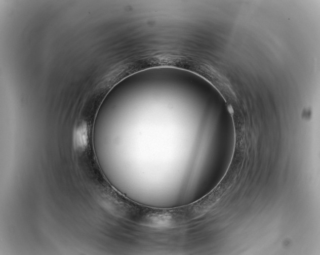 X0000099430075200805161120