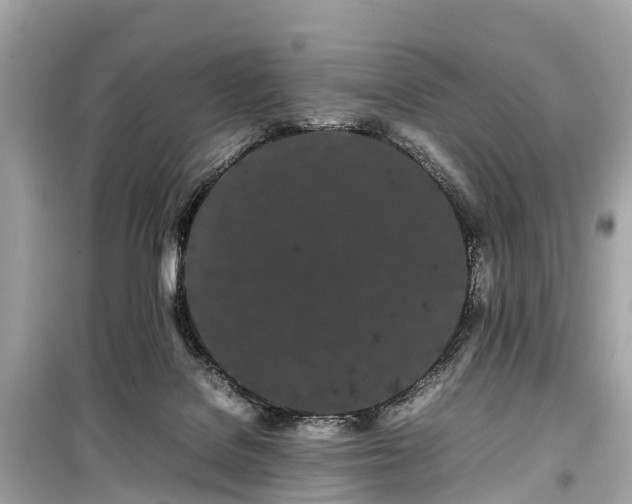 X0000099430076200805161120