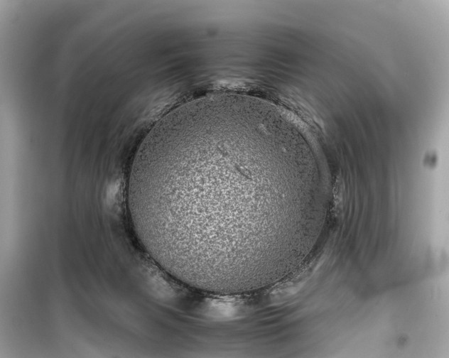 X0000099430079200805161120