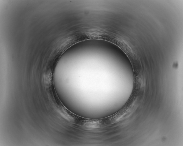 X0000099430081200805161120