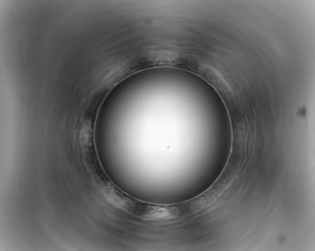 X0000099430083200805161120
