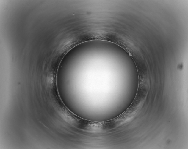 X0000099430084200805161120