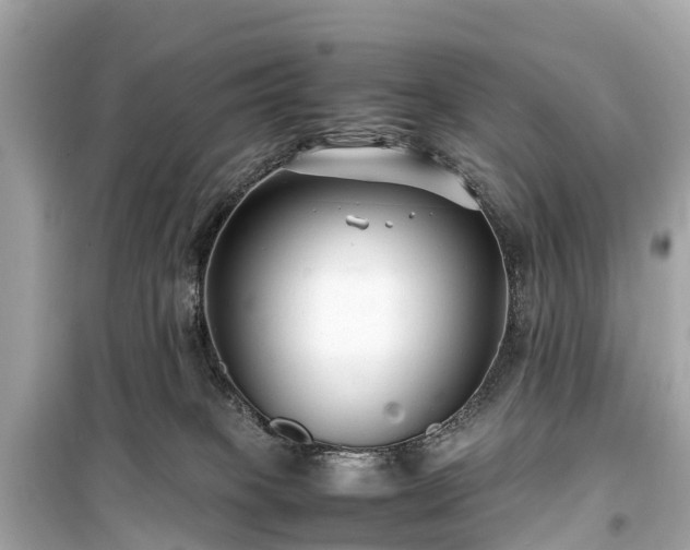 X0000099430085200805161120