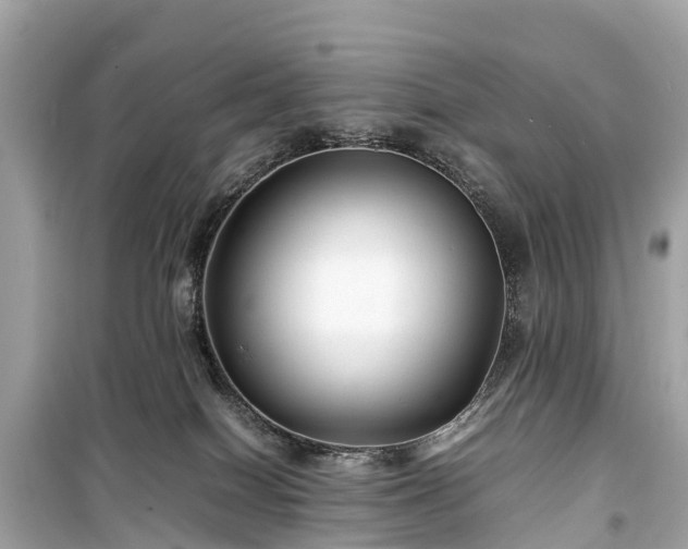 X0000099430086200805161120