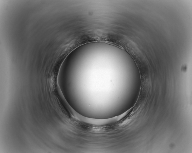 X0000099430088200805161120