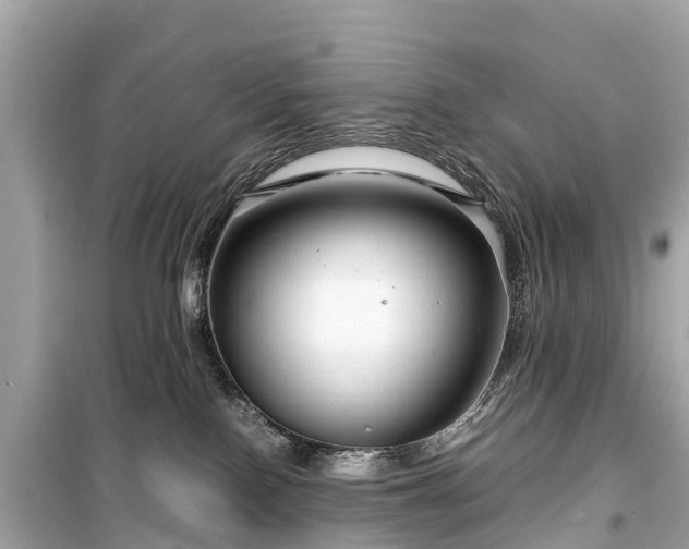 X0000099430090200805161120