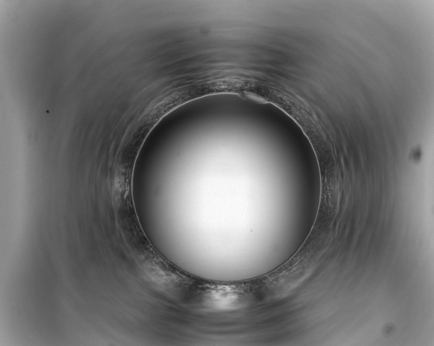 X0000099430091200805161120