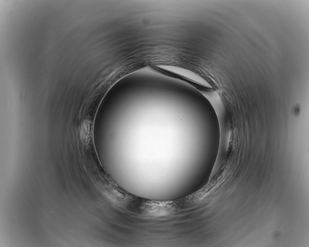 X0000099430093200805161120