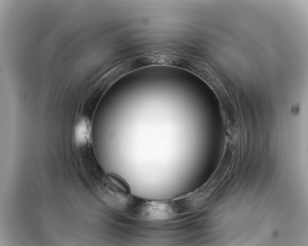 X0000099430095200805161120