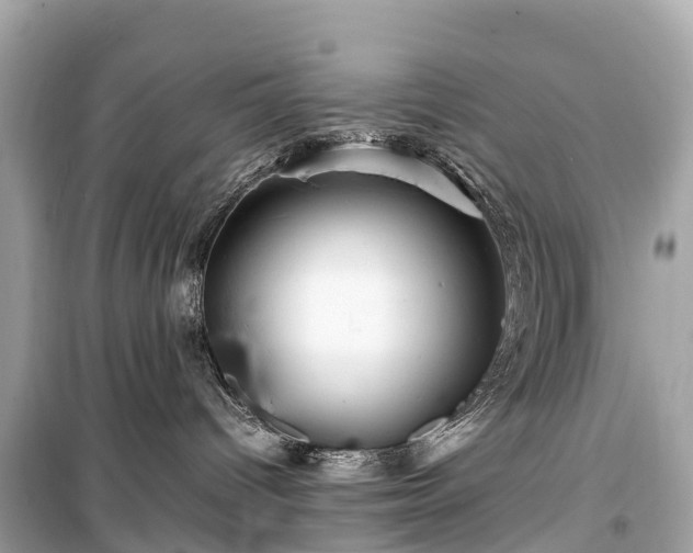 X0000099430096200805161120