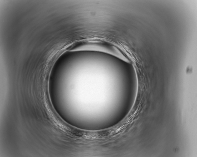 X0000099430097200805161120