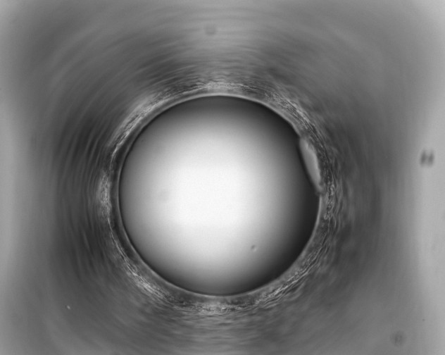 X0000099430098200805161120