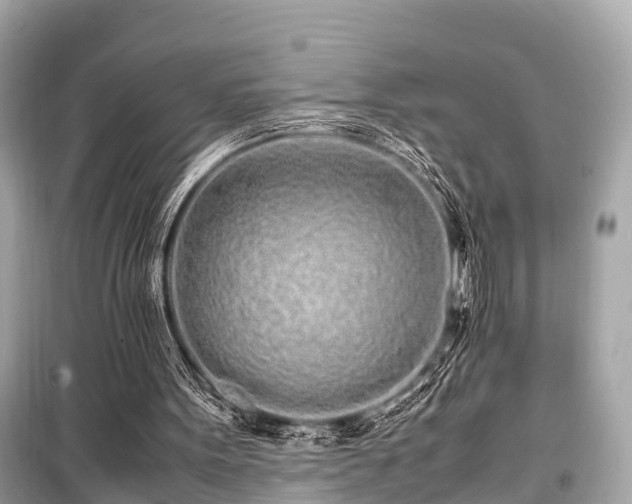 X0000099430099200805161120