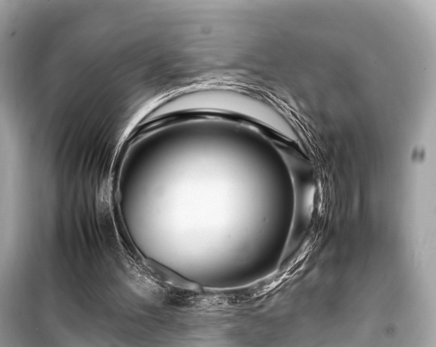 X0000099430100200805161120