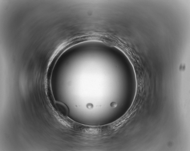 X0000099430102200805161120