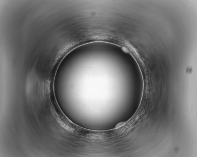 X0000099430106200805161120