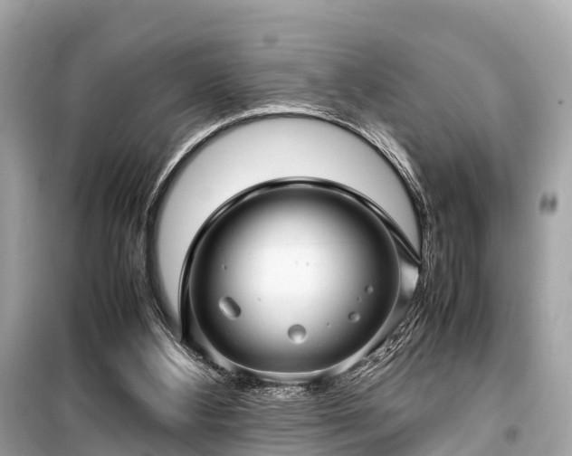 X0000099430108200805161120