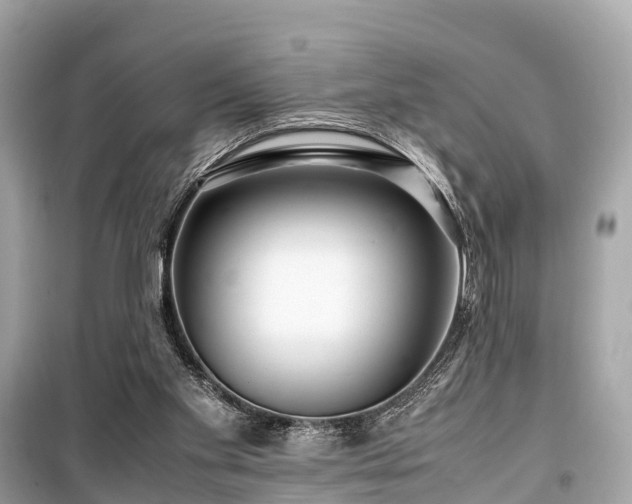 X0000099430109200805161119