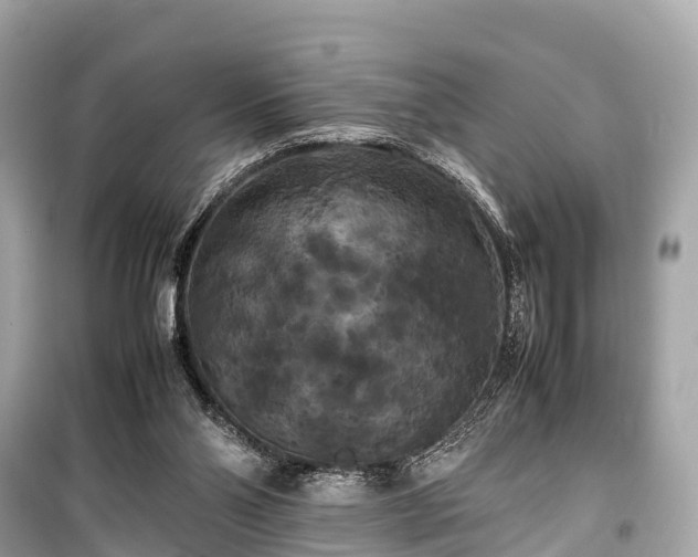 X0000099430110200805161119