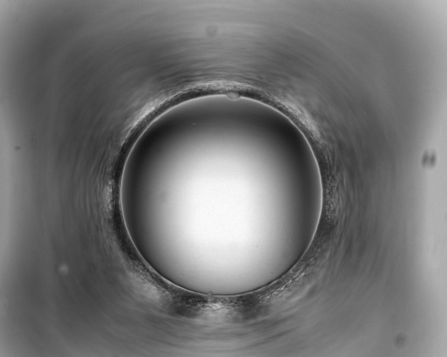 X0000099430111200805161119