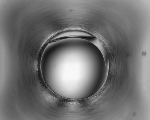 X0000099430112200805161119