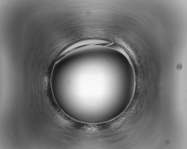 X0000099430113200805161119