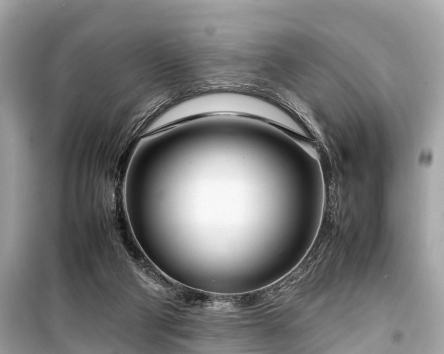 X0000099430114200805161119