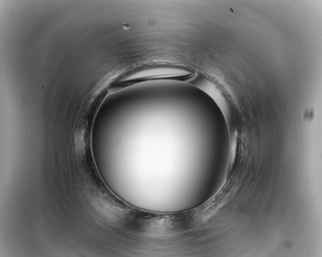 X0000099430116200805161119