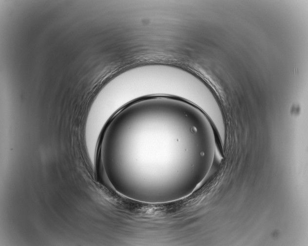 X0000099430117200805161119