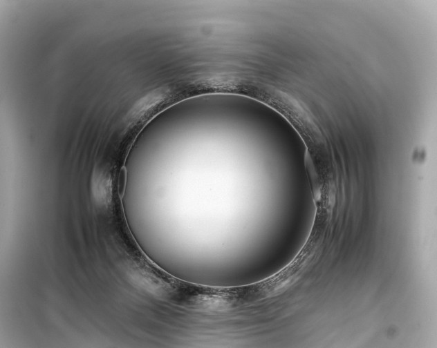 X0000099430120200805161119