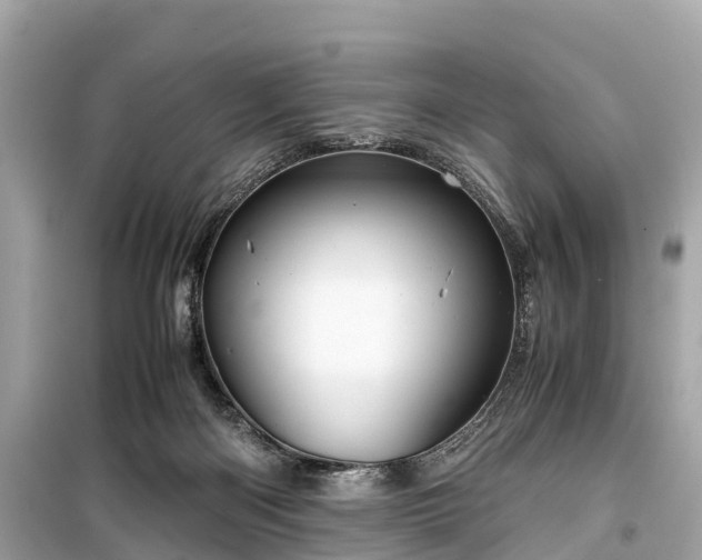 X0000099430122200805161119