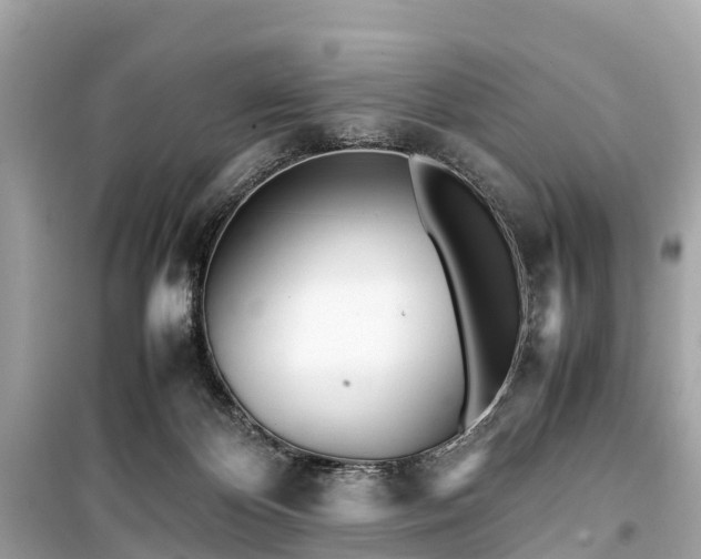 X0000099430124200805161119