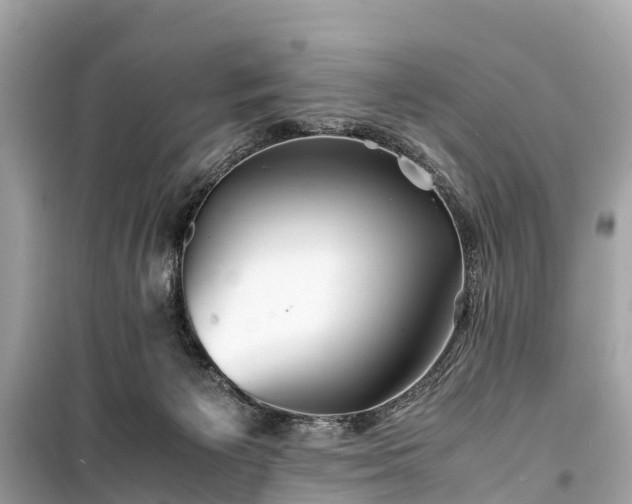X0000099430125200805161119