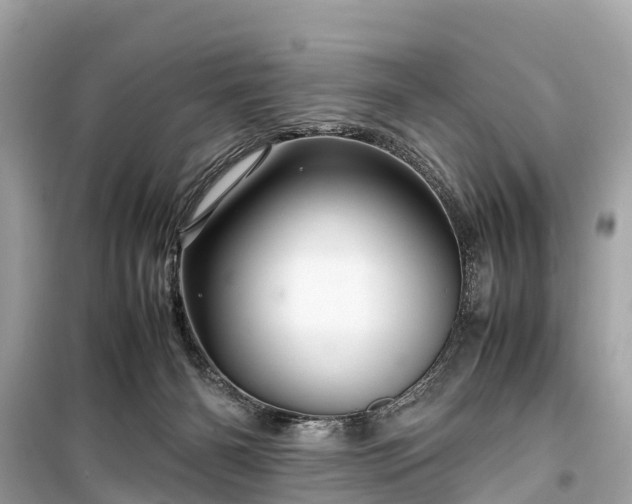 X0000099430126200805161119