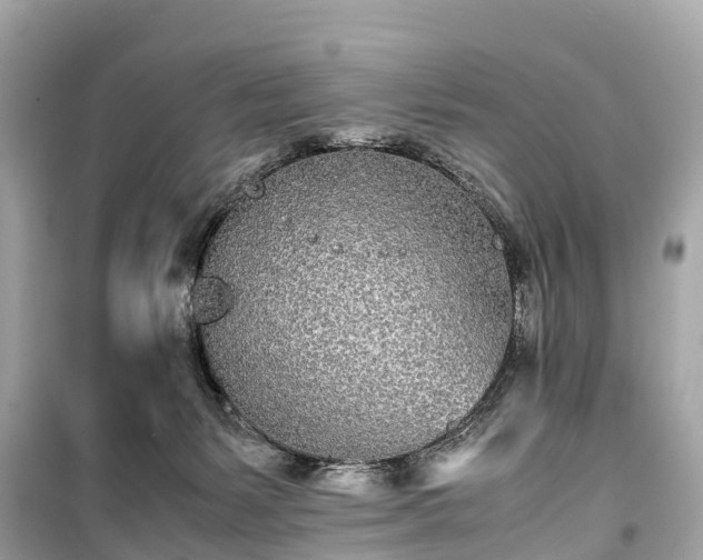 X0000099430127200805161119