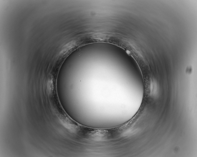 X0000099430128200805161119