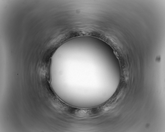 X0000099430129200805161119
