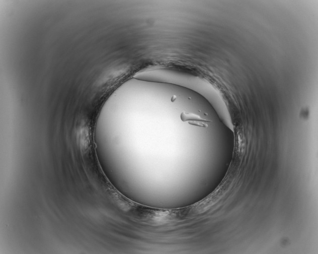 X0000099430130200805161119