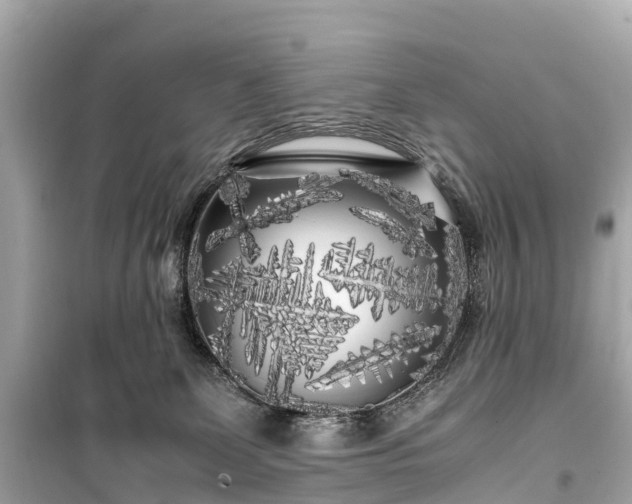 X0000099430131200805161119